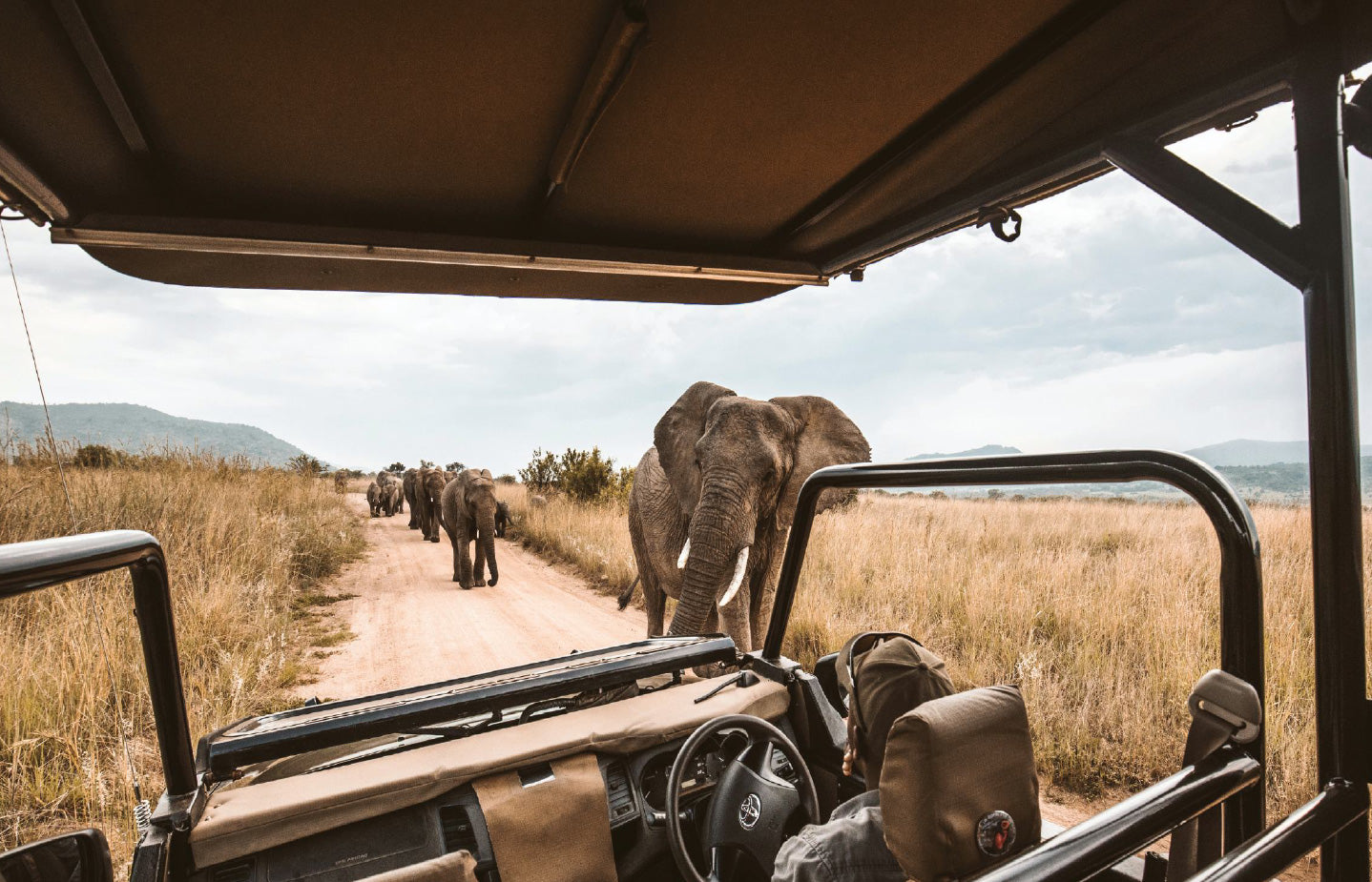 Safari en África